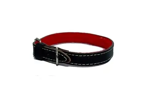 Collar Kipper de Cuero con Felpa Nº1 para Perros