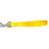Correa Mister Hueso Manopla Nylon Mediana para Perros