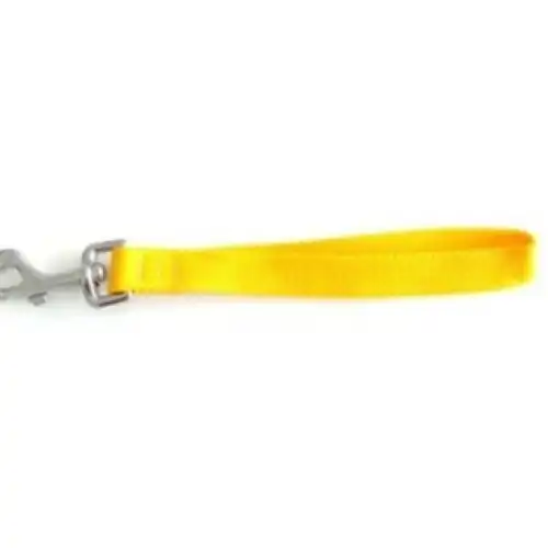 Correa Mister Hueso Manopla Nylon Mediana para Perros