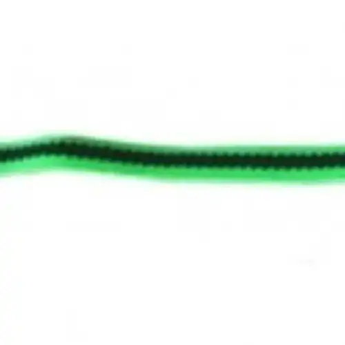Collar y Correa Per-Ros Cazadora Alpinista Grande para Gatos
