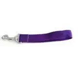 Correa Mister Hueso Manopla Nylon Ancha para Perros