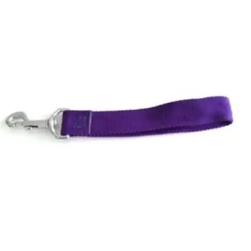 Correa Mister Hueso Manopla Nylon Ancha para Perros