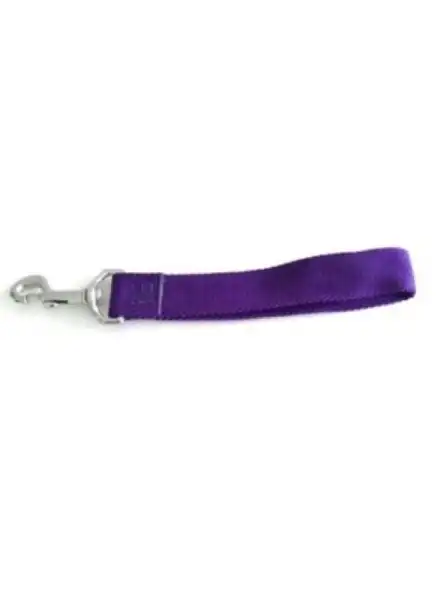 Correa Mister Hueso Manopla Nylon Ancha para Perros