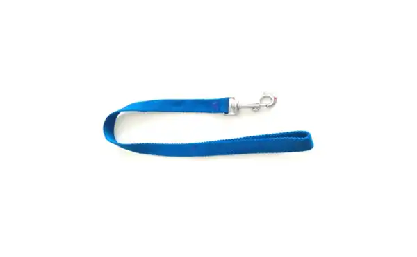 Correa Mister Hueso Nylon Media 60 x 2 cm para Perros