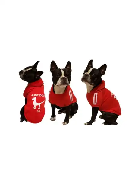 Indumentaria Per-Ros Buzo Just DOG IT Talle XL - para Perros