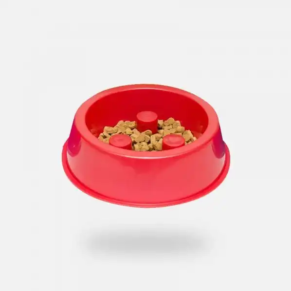Comedero Bebedero Cafran Comelento Mediano para Perros