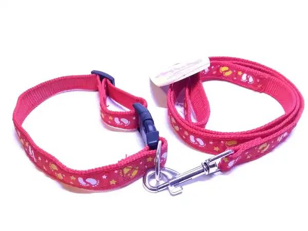 Collar y Correa Conjunto y Estampada N3 para Perros