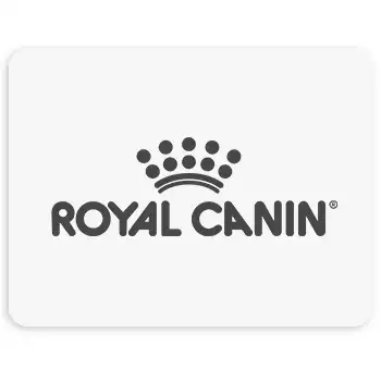 Royal Cannon