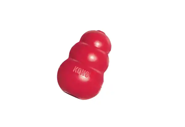 Interactivos Tetra Kong Classic Large para Perros