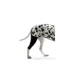 Producto Ortopédico Per-Ros Ortesis Protector de Rodilla y Muslo M - para Perros y Gatos