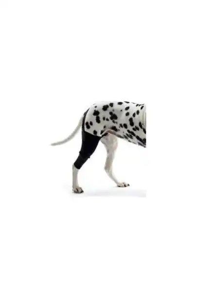 Producto Ortopédico Per-Ros Ortesis Protector de Rodilla y Muslo M - para Perros y Gatos