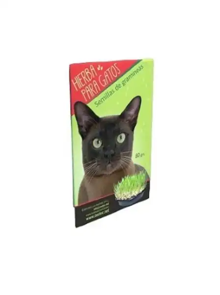 Accesorio Zootec Hierba para Gatos sobre 80 g