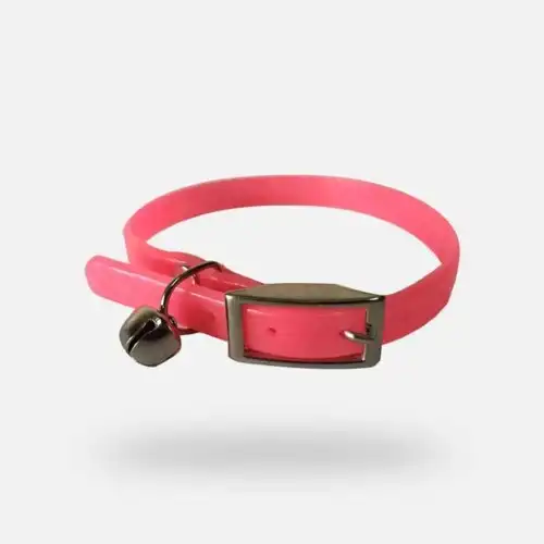 Collar y Correa Cafran 10 mm para Gato con Cascabel