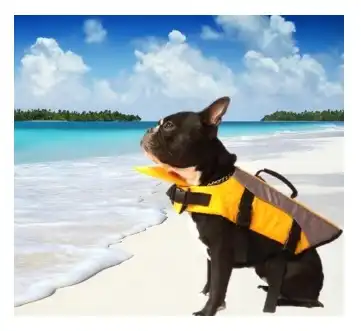 Chaleco Salvavidas Per-Ros Talle XL 44 cm - para Perros