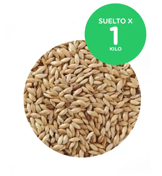 Alimento Cereales Alpiste 1 kg para Pájaros