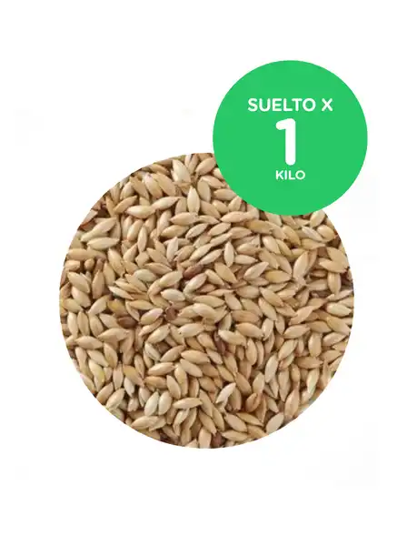 Alimento Cereales Alpiste 1 kg para Pájaros