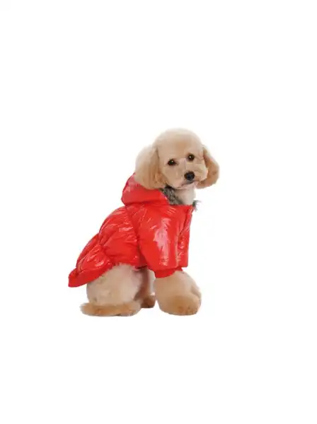 Indumentaria Per-Ros Campera Inflable C/piel Talle L - para Perros