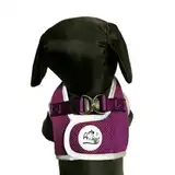 Collar y Correa Per-Ros Arnés Tipo Chaleco Reflex Talle XXL - para Perros
