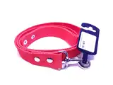 Collar y Correa Model Lisa Polipropileno 15 x 1.20 cm Nº1 para Perros