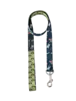 Collar y Correa Pettique Galaxy para Perros