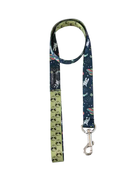Collar y Correa Pettique Galaxy para Perros