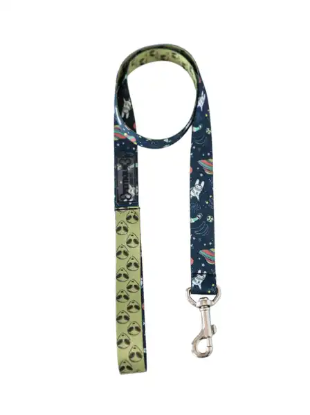 Collar y Correa Pettique Galaxy para Perros