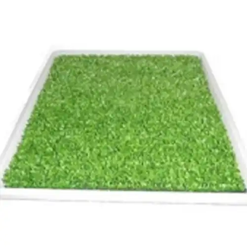 Carpeta Sanitaria Pañopet Carpet Mini Césped Sintético para Perros