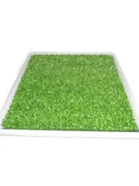 Carpeta Sanitaria Pañopet Carpet Mini Césped Sintético para Perros