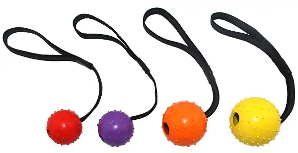 Juguete Can Cat Strong - Bola con Puntas y Strap Nylon ER056 para Perros