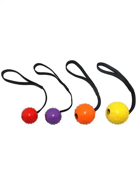 Juguete Can Cat Strong - Bola con Puntas y Strap Nylon ER056 para Perros