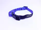Collar y Correa Mister Hueso Elástico para Gatos
