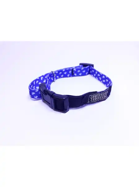 Collar y Correa Mister Hueso Elástico para Gatos