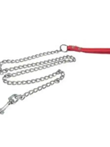 Correa Cromada 4.0 mm X 60 cm para Perros
