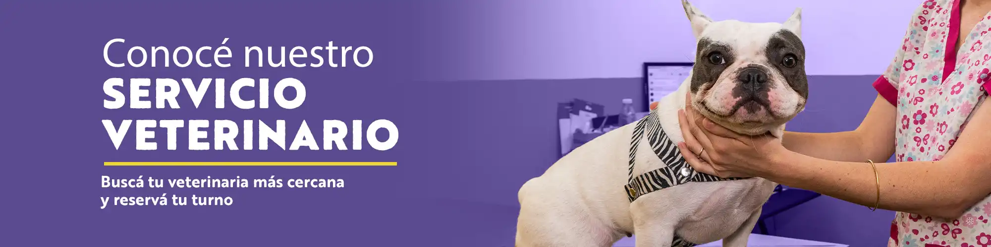 Home Banner top