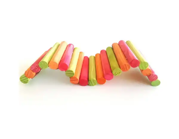 Túneles y Tubos Zootec Grande 13 x 40 cm para Roedores
