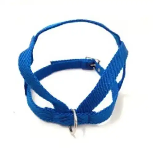 Pretal Mister Hueso Americano Grande Prom Abd para Perros