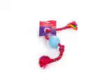 Pelota Petsplast de Goma Chica con Soga Alpina para Perros
