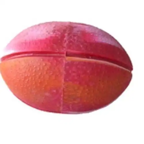 Pelota Rotamec Mascota Rugby para Perros