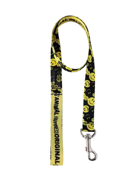 Collar y Correa Pettique Happiness para Perros