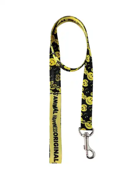 Collar y Correa Pettique Happiness para Perros