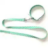 Collar y Correa Mister Hueso Conj. Medio 40 cm. y Media 120 cm. para Perros
