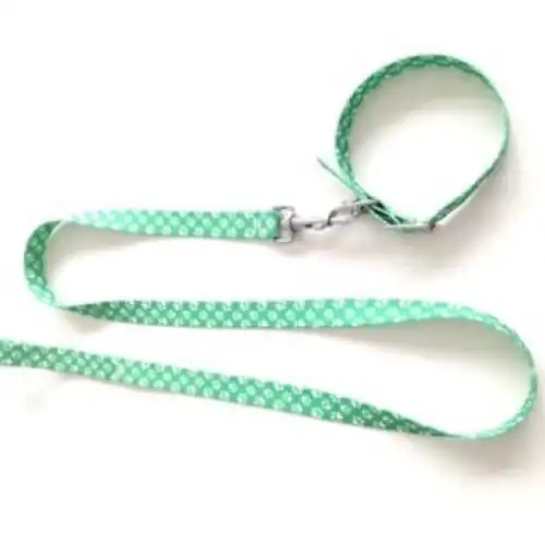 Collar y Correa Mister Hueso Conj. Medio 40 cm. y Media 120 cm. para Perros