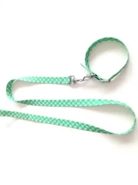 Collar y Correa Mister Hueso Conj. Medio 40 cm. y Media 120 cm. para Perros