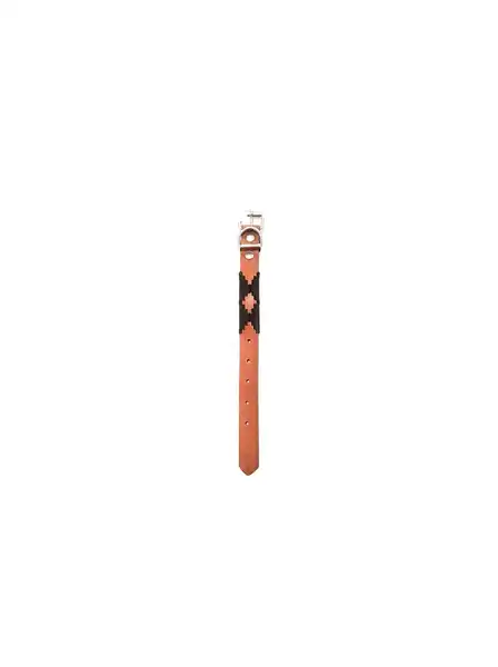 Collar DM Bordado 2.5 cm X 35 cm para Perros
