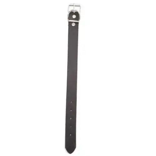 Collar DM 3.5 cm X 45 cm para Perros