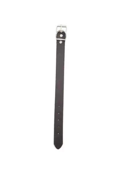 Collar DM 3.5 cm X 45 cm para Perros