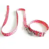 Collar y Correa Mister Hueso Conj. Medio 45 cm. y Media 120 cm. para Perros
