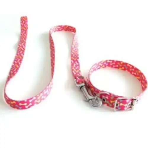 Collar y Correa Mister Hueso Conj. Medio 45 cm. y Media 120 cm. para Perros