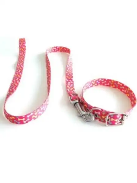 Collar y Correa Mister Hueso Conj. Medio 45 cm. y Media 120 cm. para Perros