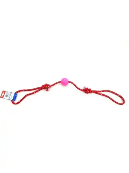 Pelota Petsplast de Goma Chica con Soga Alpina 8MMX65 cm para Perros